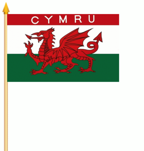 Wales CYMRU Stockflagge 30x45 cm