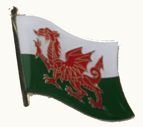 Wales Pin