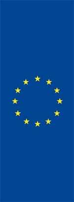 Europa Hohlsaum/Tunnel Flagge 200x80 (Hochformat)