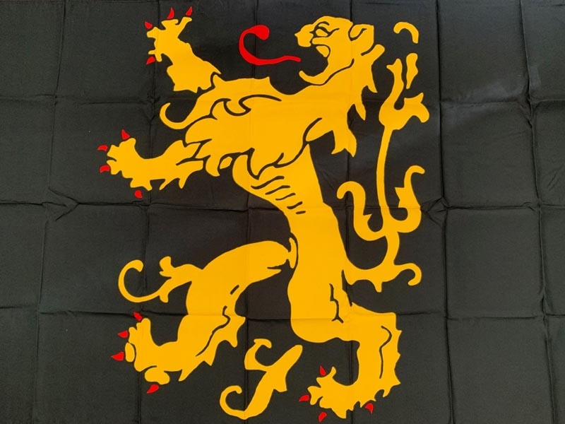 FlämischBrabant (Provinz)ohne Wappen im Löwen Flagge 90x150 cm,160