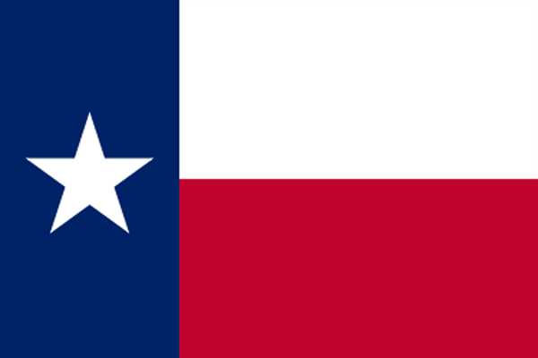 Texas Flagge 60x90 cm