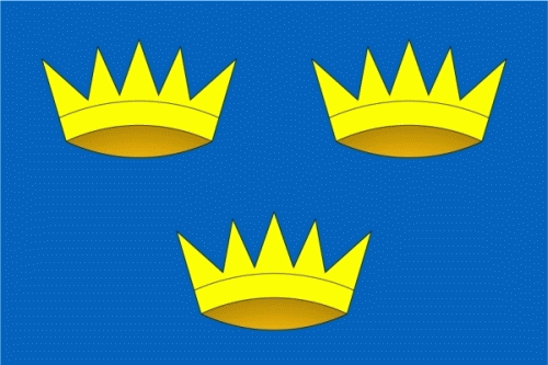 Munster (Irland) Flagge 90x150 cm Sonderpreis
