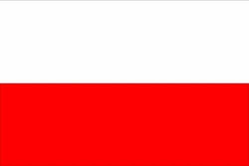 Polen Flagge weiß-rot Flagge 3x5 Meter (L)
