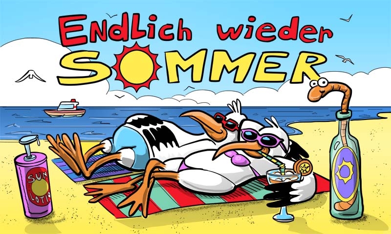 Sommer Endlich wieder Sommer Möwen Flagge 90x150 cm Sonstige