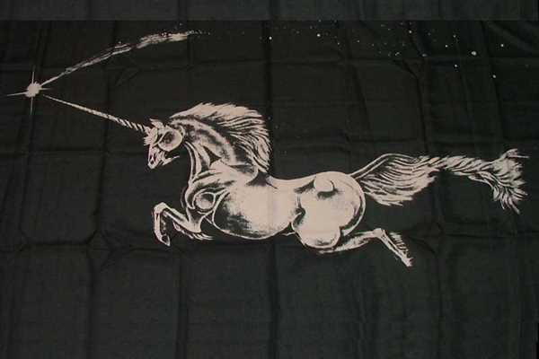 Einhorn schwarz Kindermotiv Flagge 90x150 cm