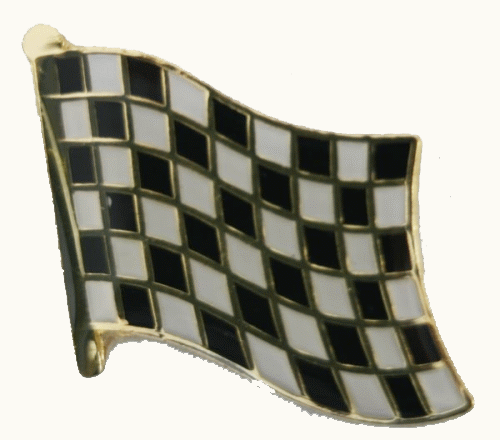 Zielflagge Pin