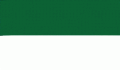 Schützenfest grün-weiß Bootsflagge 30x40 cm Abverkauf