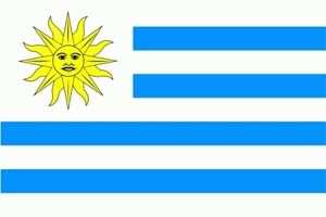 Uruguay Hohlsaum/Tunnel Flagge 60x90 cm