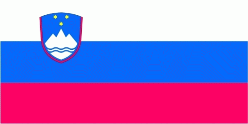 Slowenien Bootsflagge 30x40 cm