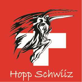 Schweiz Hopp Schwiiz 2 Flagge 120x120 cm, Abverkauf