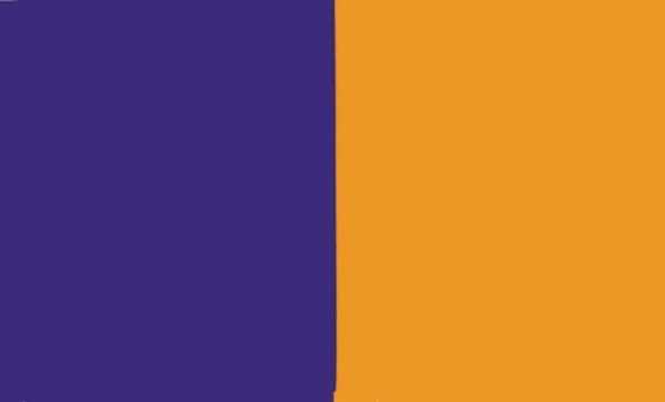 Wexford Flagge 90x150 cm Sonderpreis