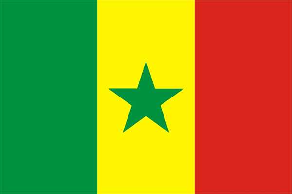 Senegal Bootsflagge 30x45 cm