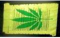 Marihuana Cannabis Hanfblatt auf Schriftrolle mit Text Flagge 90x150 cm