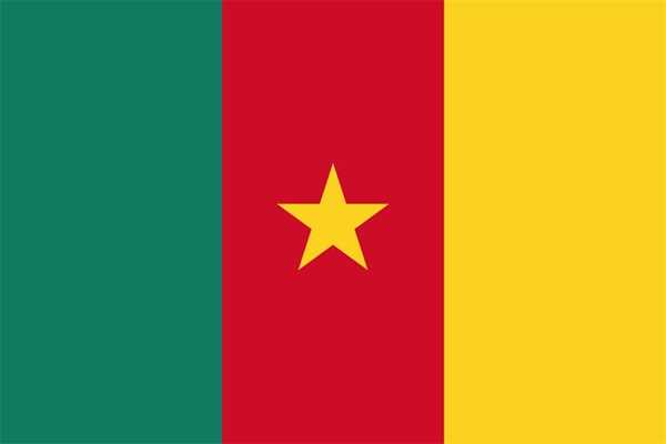 Kamerun Flagge 150x250 cm