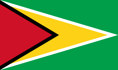 Guyana Aufkleber 8 x 5 cm super günstig VPE 10 Stück
