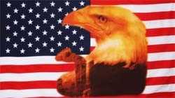 USA Eagle with tear Flagge 90x150 cm c