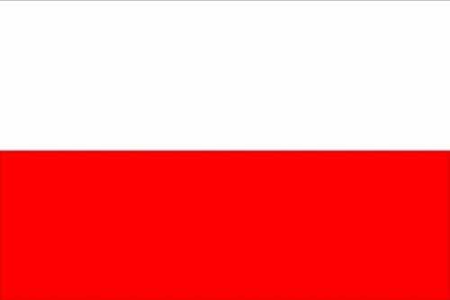 Polen Flagge weiß-rot Flagge 150x250 cm 75d (L)