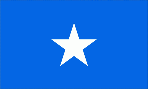 Fahne Bonnie Blue 90 x 150 cm Flagge USA 