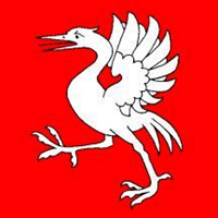 Greyerz (Bezirk) Flagge 120x120 cm Greyerz (Bezirk) Flagge 120x120 cm