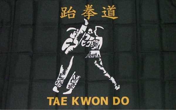 Tae-Kwon-Do Flagge 90x150 cm
