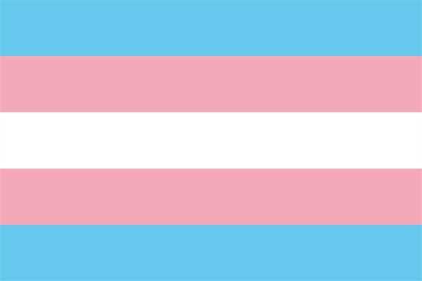 Regenbogen Transgender Pride Flagge 90x150 cm