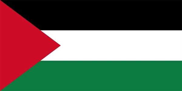 Palästina Bootsflagge 30x45 cm