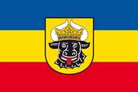 Mecklenburg Ochsenkopf Flagge 150x250 cm Mecklenburg Ochsenkopf Flagge 150x250 cm