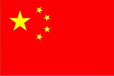 China Aufkleber 8 x 5 cm super günstig VPE 10 Stück