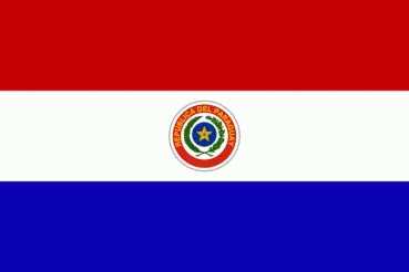 Paraguay Aufkleber 8 x 5 cm super günstig VPE 10 Stück