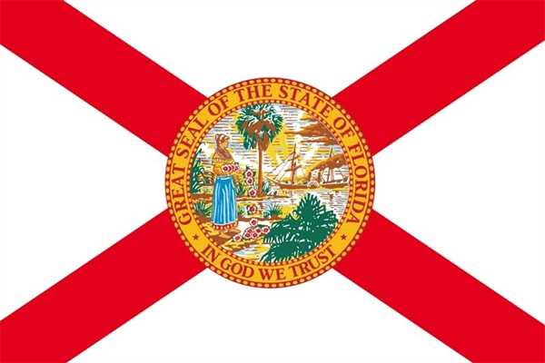 Florida Flagge 60x90 cm